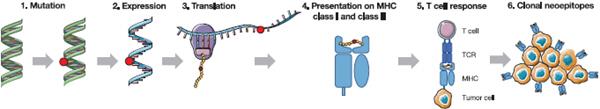 Diagram

Description automatically generated