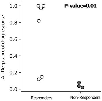 Chart, scatter chart

Description automatically generated