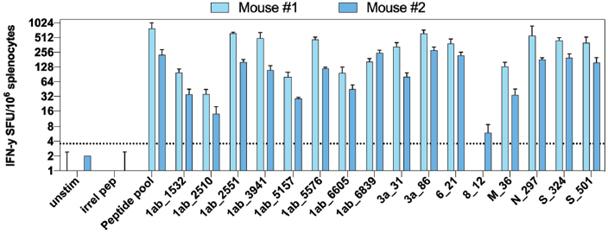 Chart, bar chart, histogram

Description automatically generated