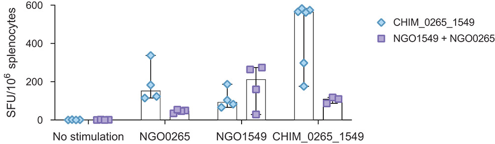 [MISSING IMAGE: bc_splenocytes-4c.jpg]